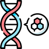 分子生物学转化平台
