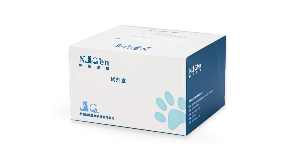 猫泛白细胞减少症病毒荧光定量PCR试剂盒